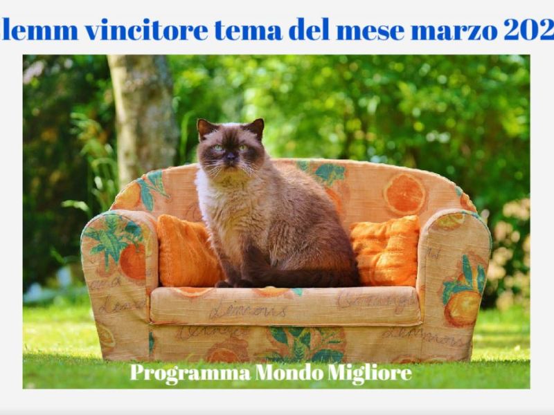 CLEMM Vincitore tema del mese di marzo&nbsp;2025