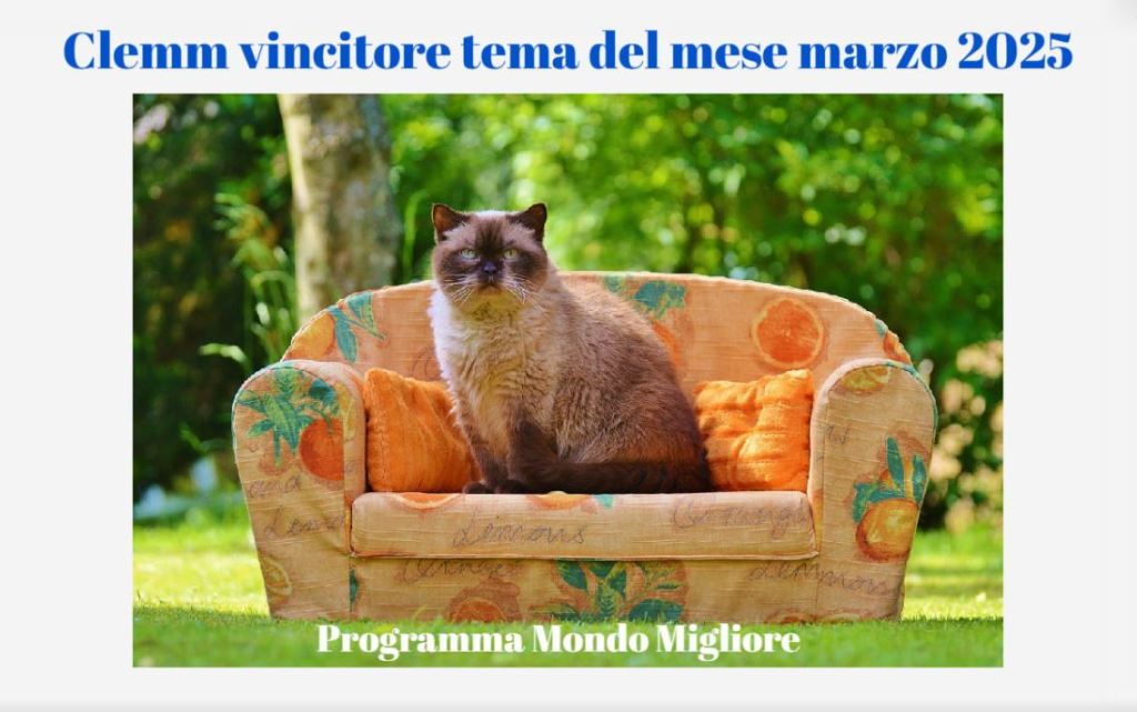 CLEMM Vincitore tema del mese di marzo&nbsp;2025