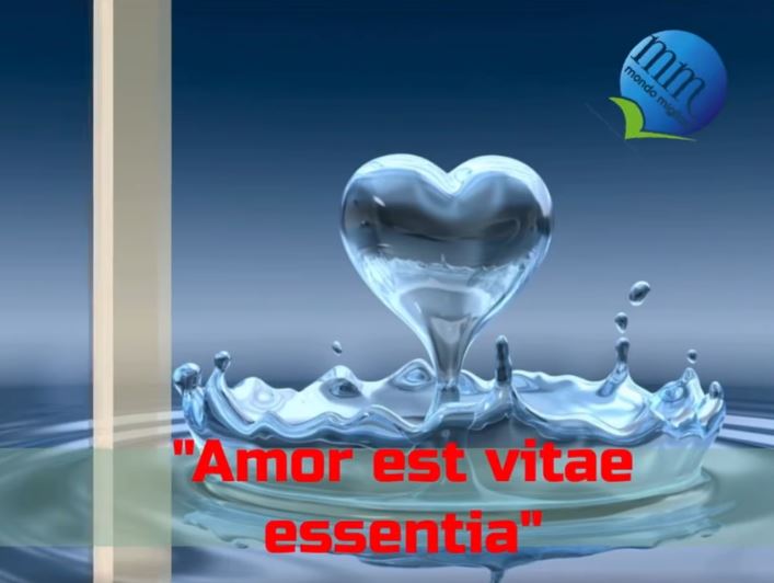 “Amor est vitae&nbsp;essentia”