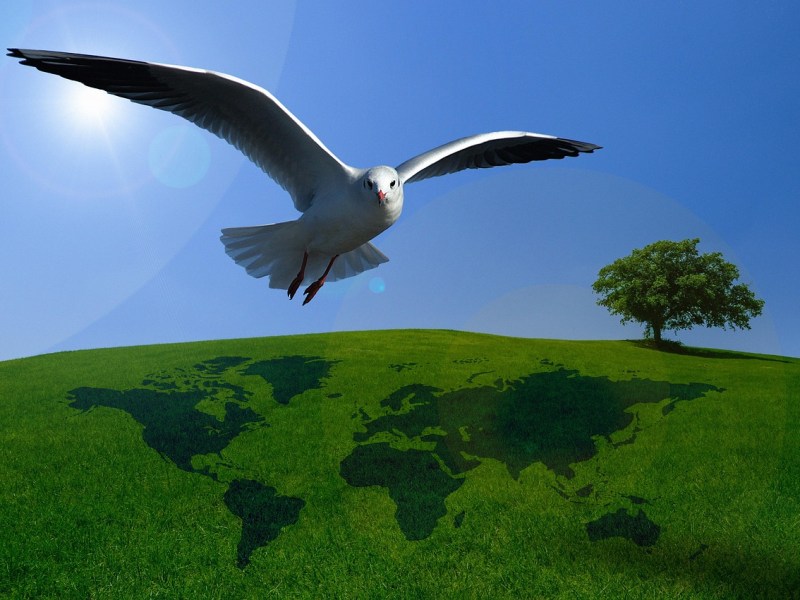 Sei pronto a brillare? Il Nuovo Mondo ti aspetta, e la tua Luce è la&nbsp;chiave.